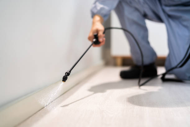 Licensed Cockroach Control service in Valdosta, GA - Nex Pest Control