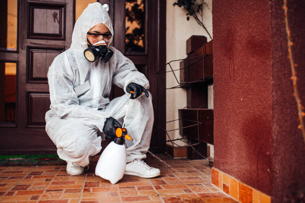 Reliable Cockroach Control contractor in Valdosta, GA by Nex Pest Control